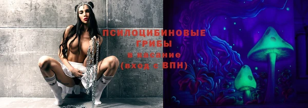 герыч Магас