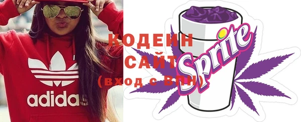 сатива Анжеро-Судженск