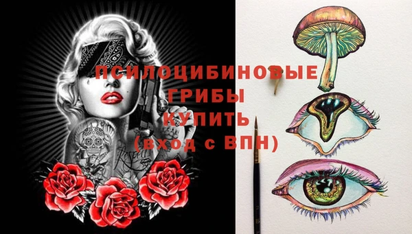 a pvp Майский